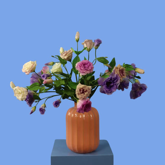 L - Carilla - Sissy Boy vaas