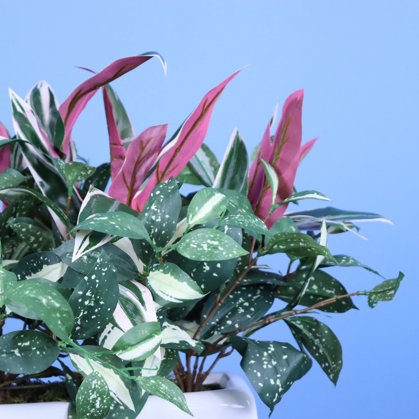 L- Phoenix - Witte plantenbak