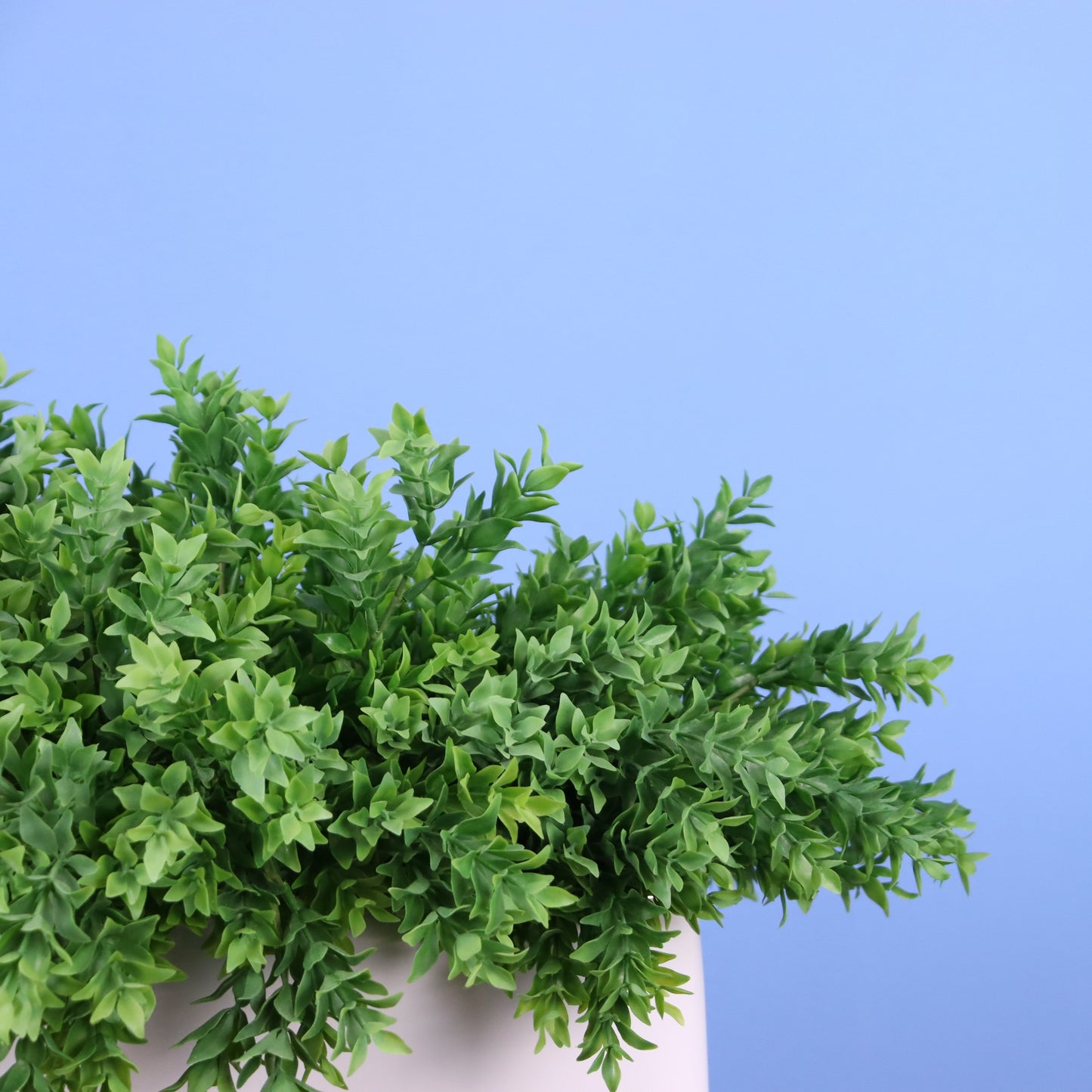 XL- Zurich - Witte plantenbak