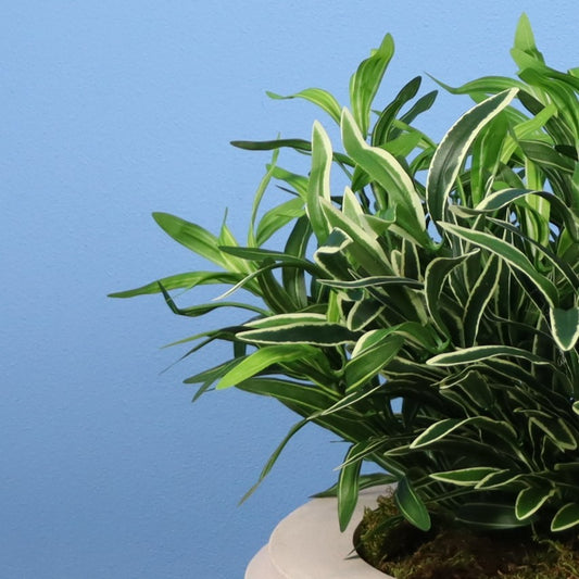 Witte plantenbak Calgary, maat XL – Reflower