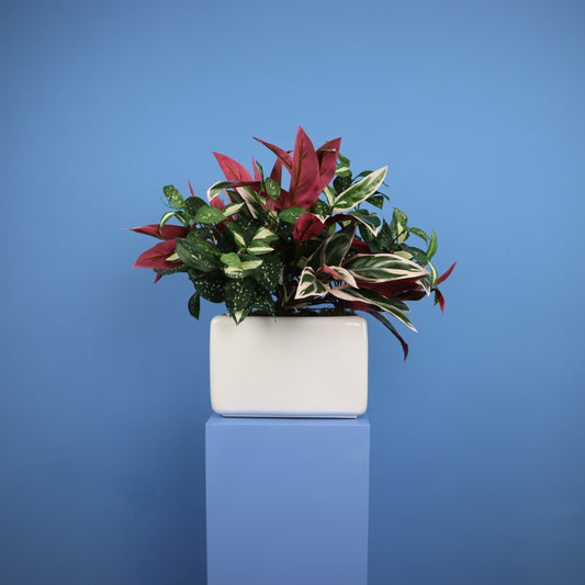 Witte plantenbak Phoenix, maat L – Reflower