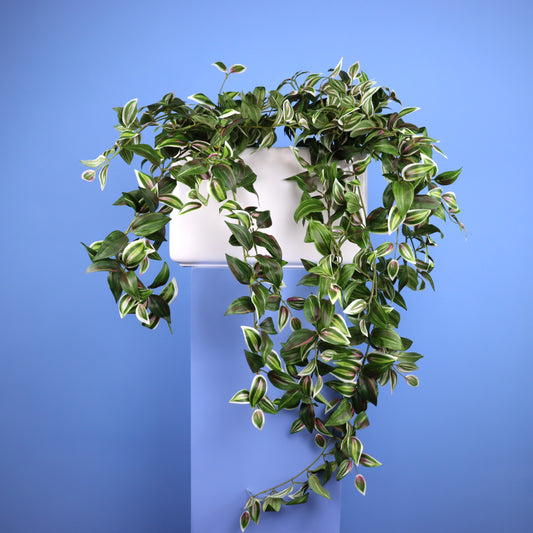 XL- Lima - Witte plantenbak