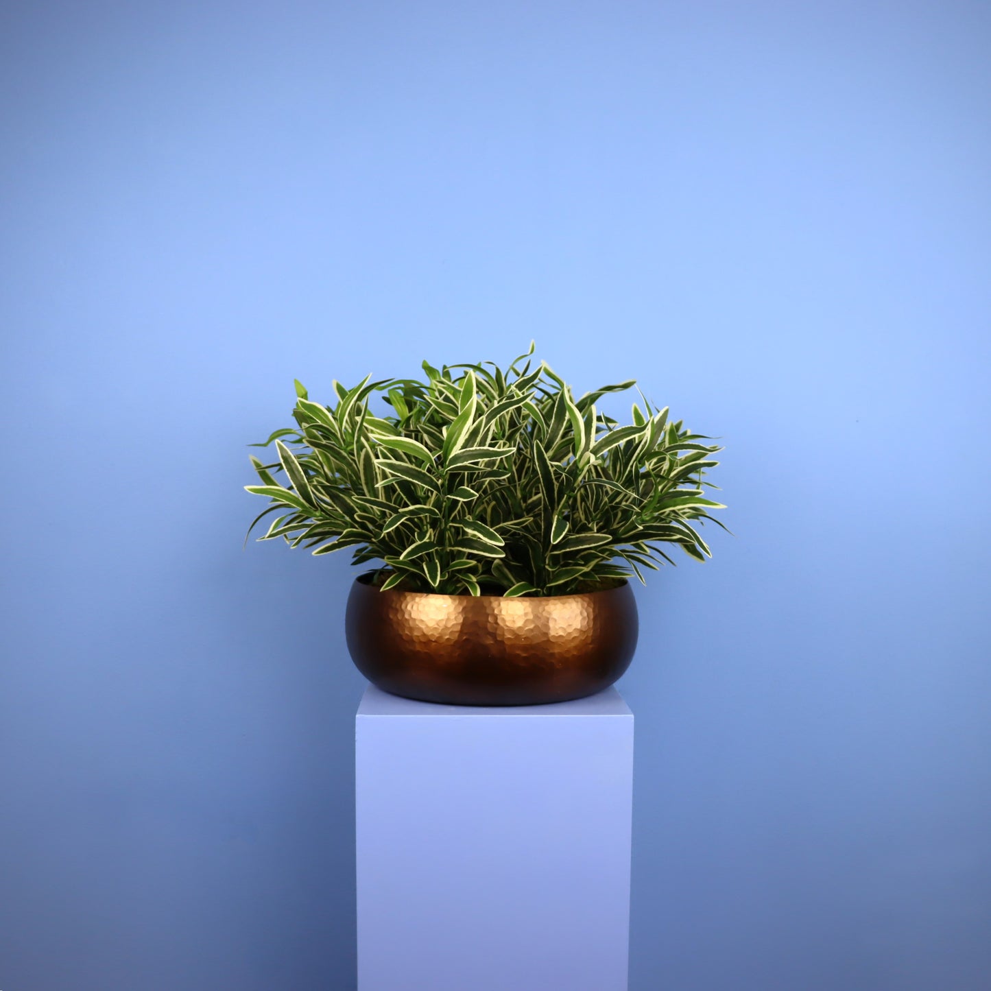 XL- Wellington - Witte plantenbak