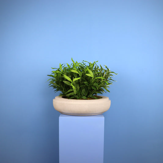 XL- Calgary - Witte plantenbak