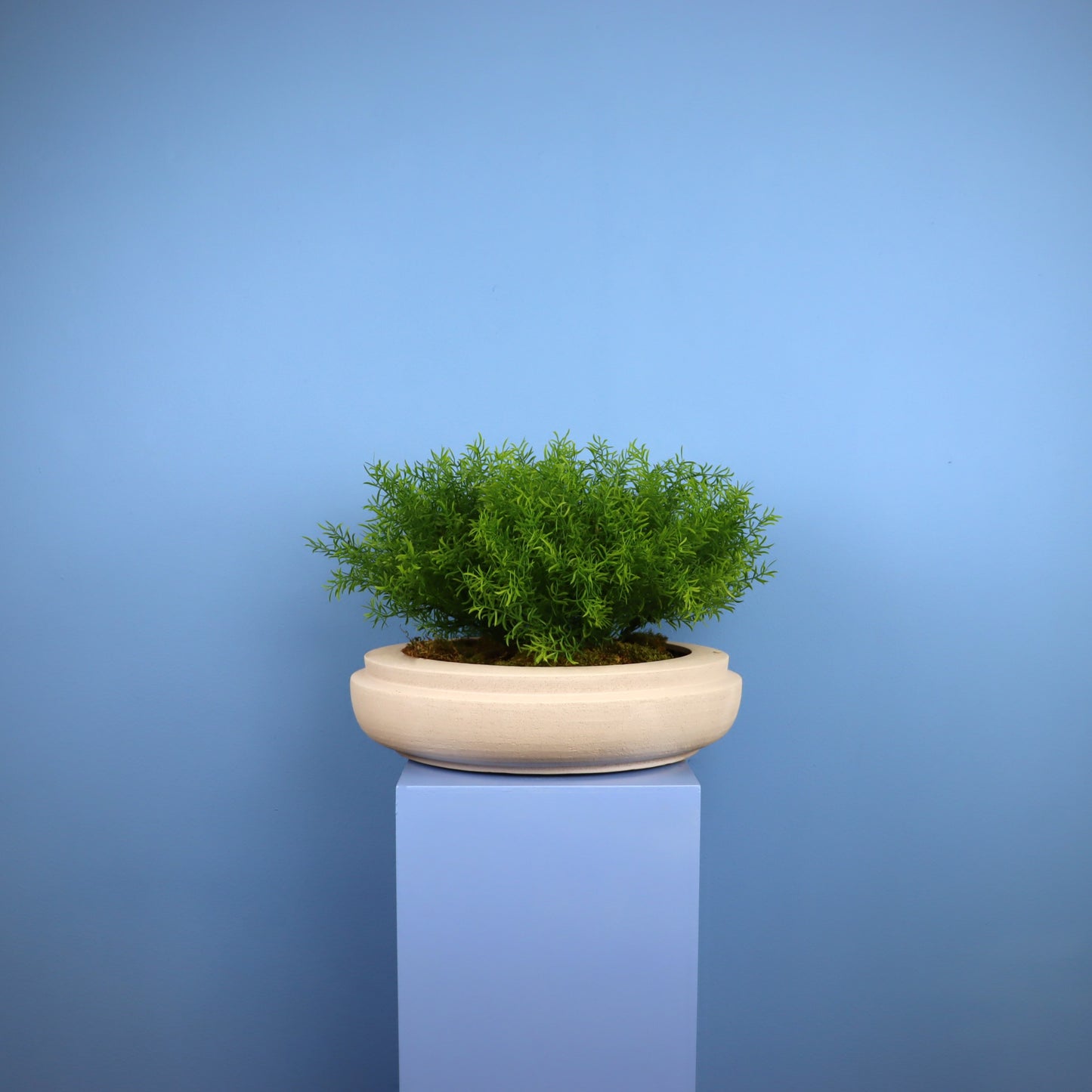 XL- Edmonton - Witte plantenbak