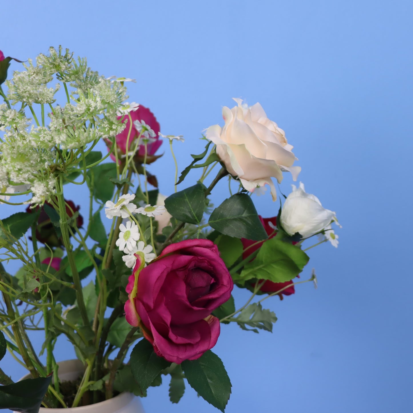 L - Nova - Return to Sender vaas