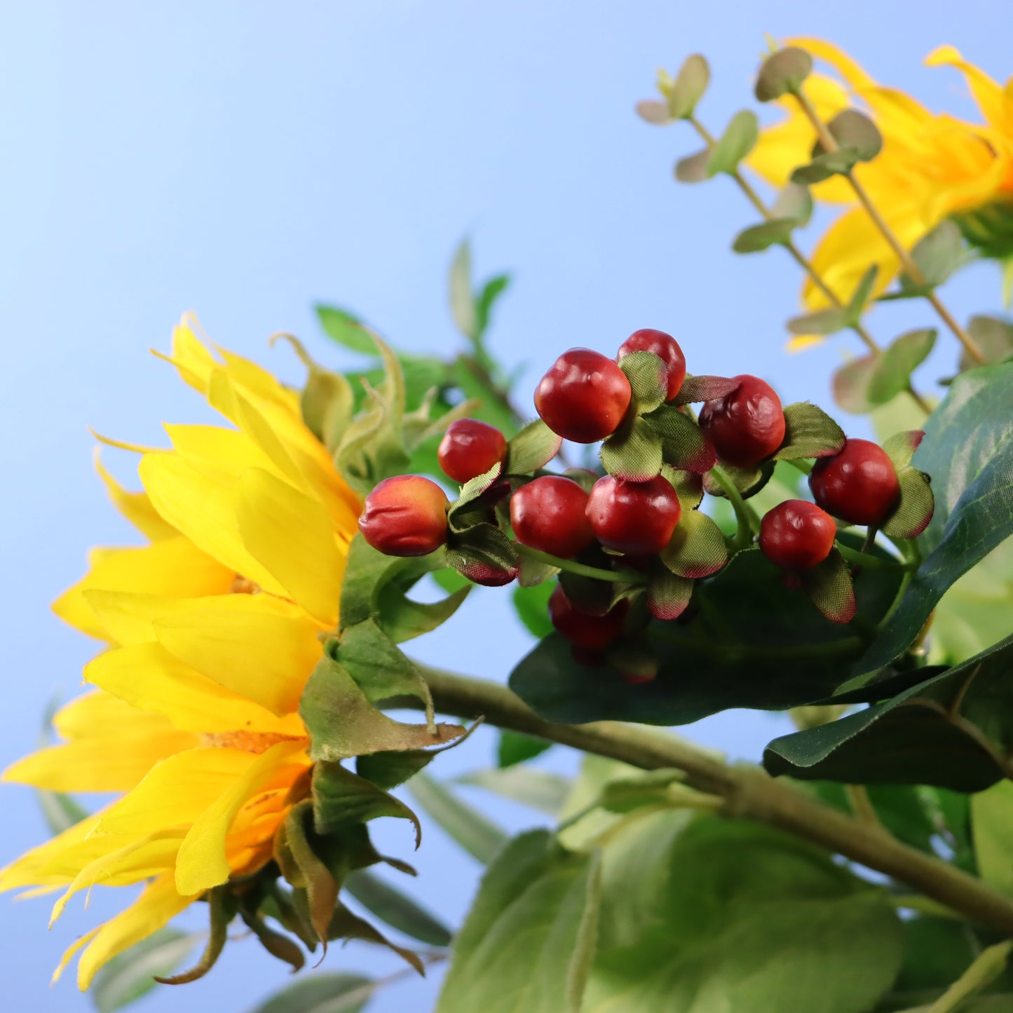 M - Ward - Return to Sender vaas