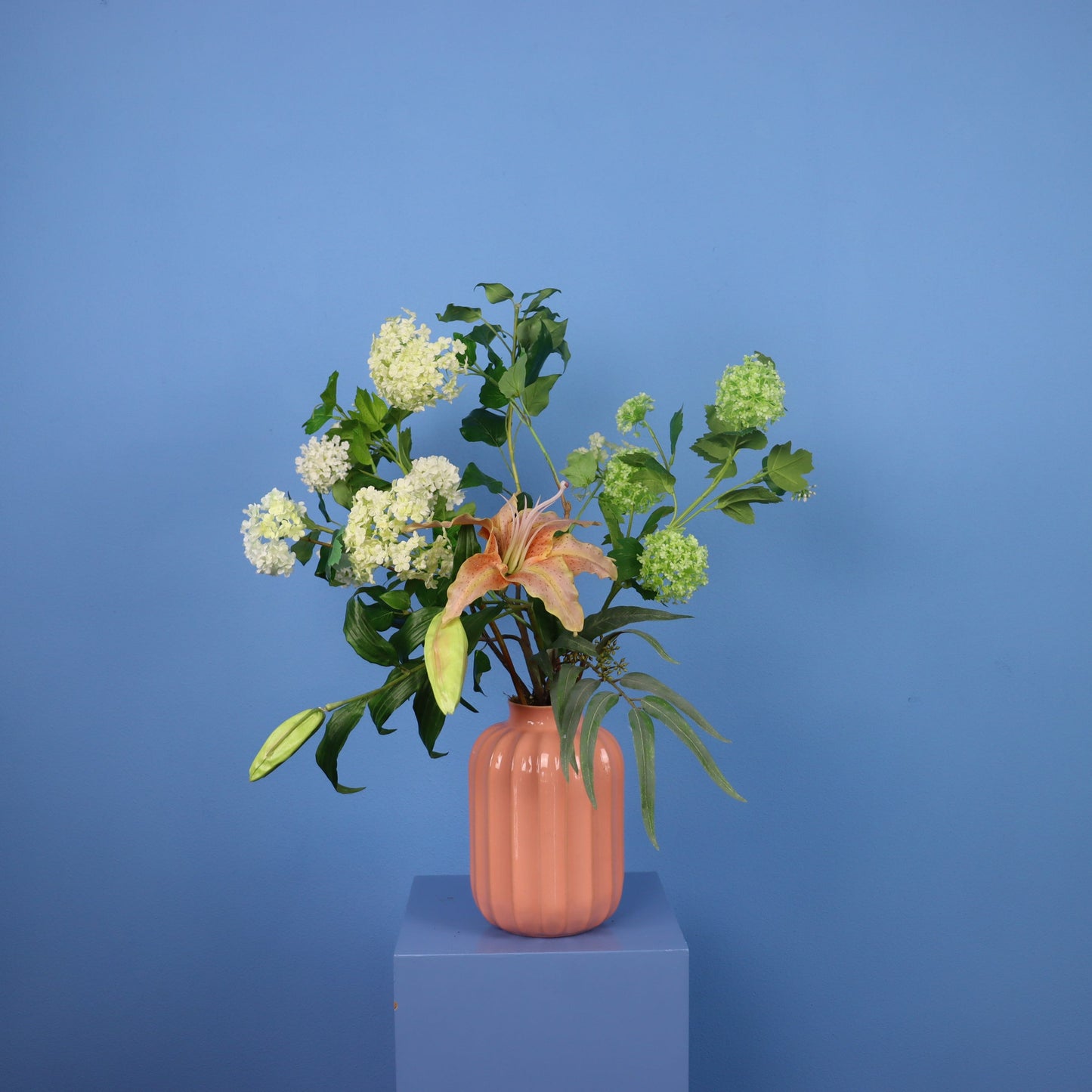 L - Kaya - Sissy Boy vaas