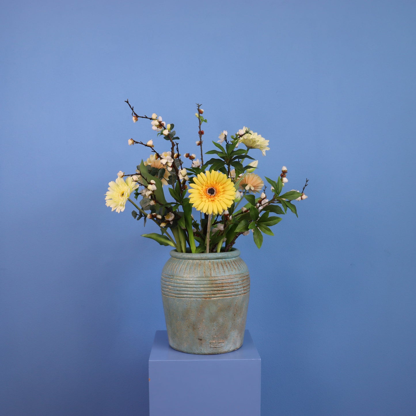 L - Blaire - Reliving vaas