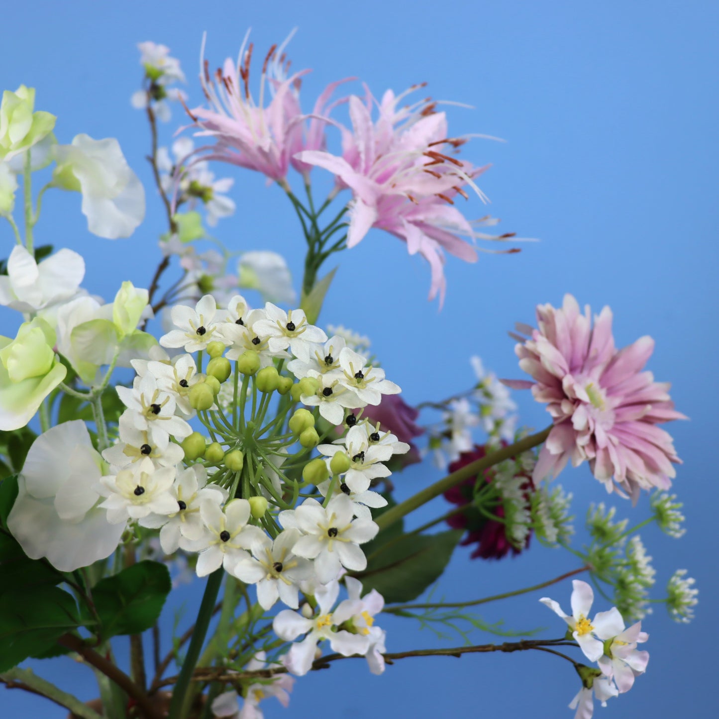 L - Vanessa - Return to Sender vaas