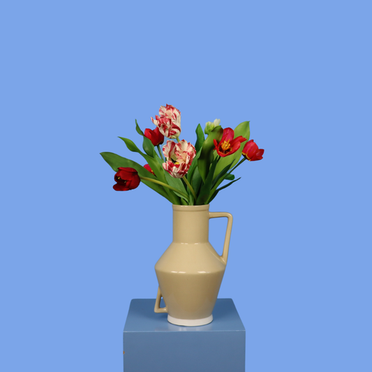 M - Joni - Return to Sender vaas