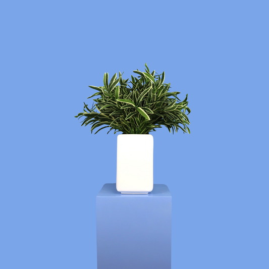 Witte plantenbak Valletta, maat XL – Reflower