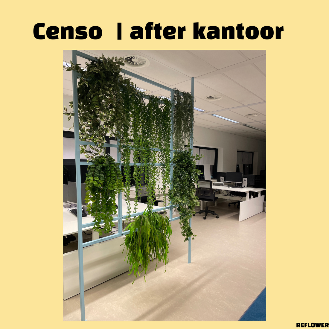 Censo - kantoorbeplanting