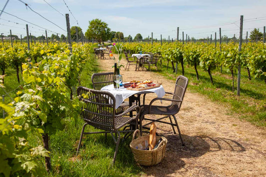 Singel Residence Tip van de Week: Fruits de Mer