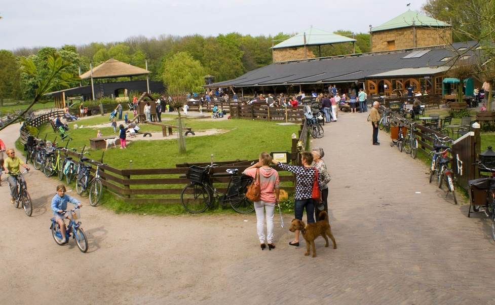 Singel Residence Tip van de Week