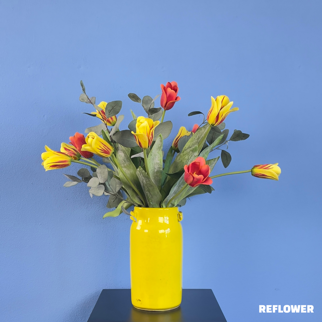 Tulpen uit Amsterdam!