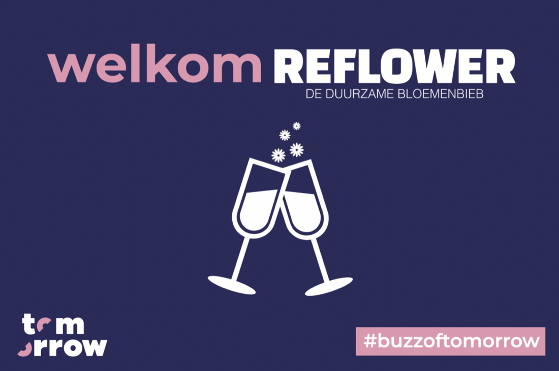Tom Orrow x Reflower Onderzoek