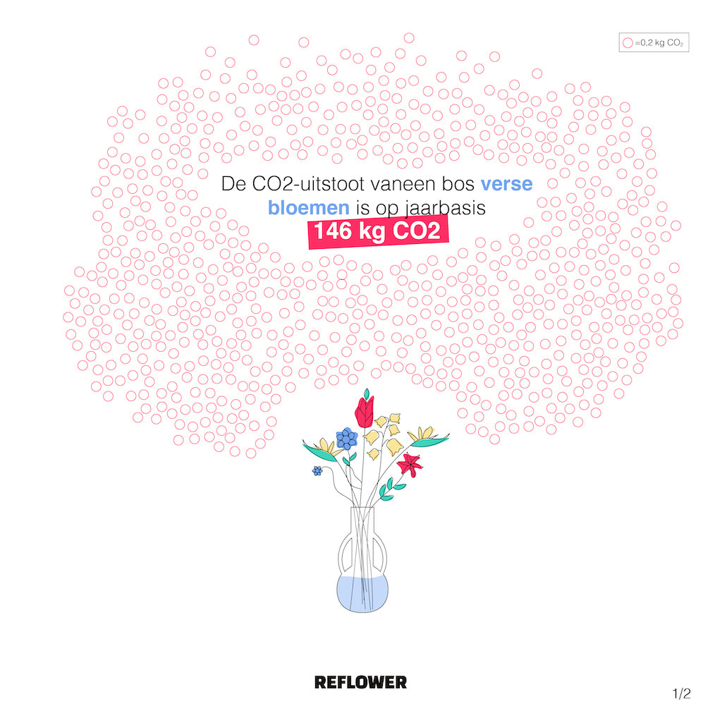 Wist je dat je met Reflower bijdraagt aan een betere wereld?