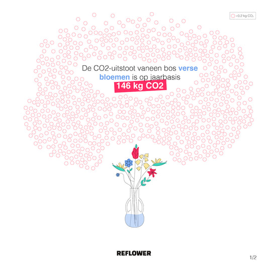 Wist je dat je met Reflower bijdraagt aan een betere wereld?