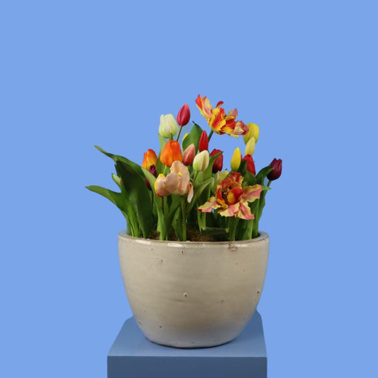 XL - Recife - Stenen pot