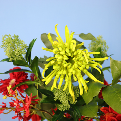 Kunstboeket Nela in Return to Sender vaas, maat XL – Reflower