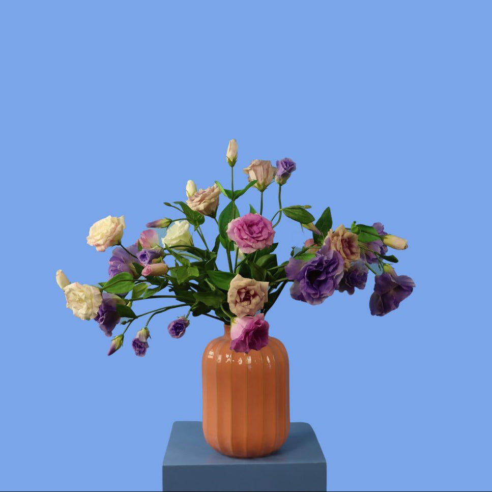 L - Carilla - Sissy Boy vaas