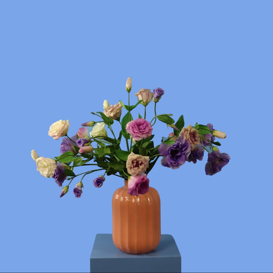 L - Carilla - Sissy Boy vaas