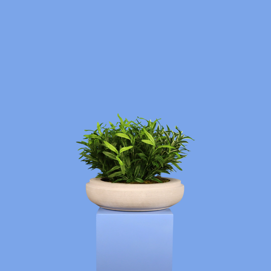 Witte plantenbak Calgary, maat XL – Reflower