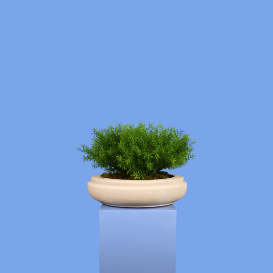 Witte plantenbak Edmonton, maat XL – Reflower
