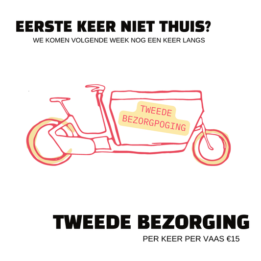 Reflower tweede bezorging – kunstbloemen van Reflower