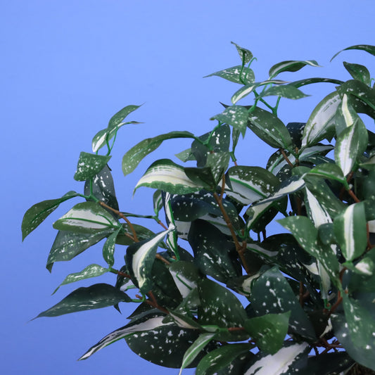 Witte plantenbak Austin, maat L – Reflower
