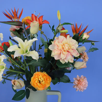 XL - Rob - Return to Sender vaas