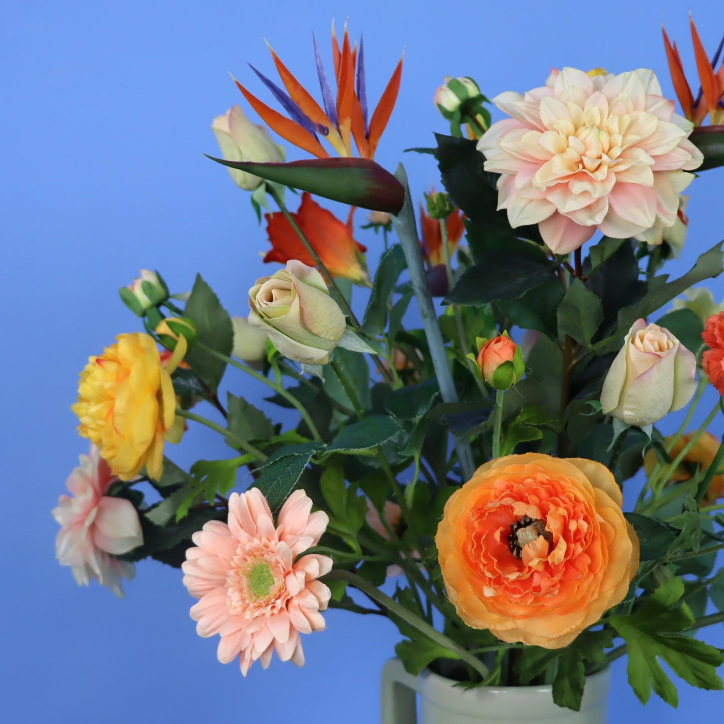 XL - Rob - Return to Sender vaas