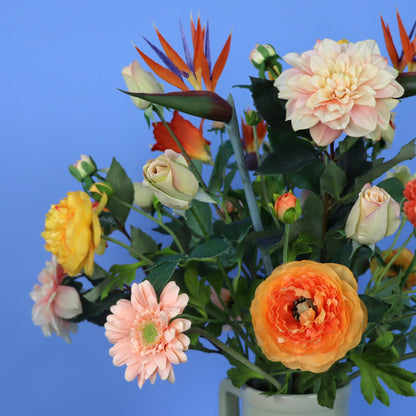 XL - Rob - Return to Sender vaas