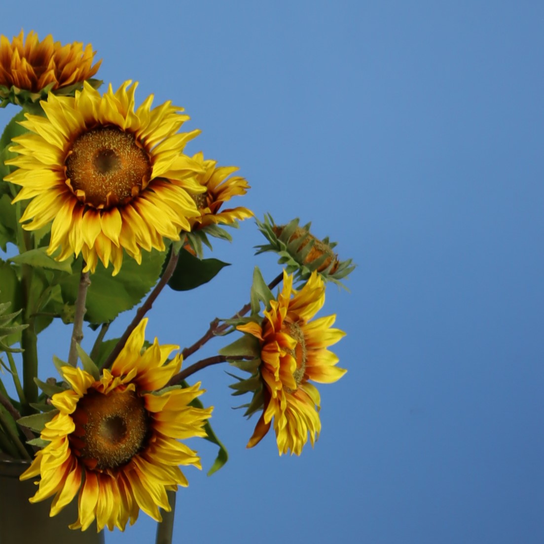 M - Hugh - Return to Sender vaas