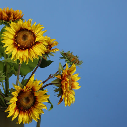 M - Hugh - Return to Sender vaas