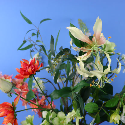 XL - Lena - Return to Sender vaas