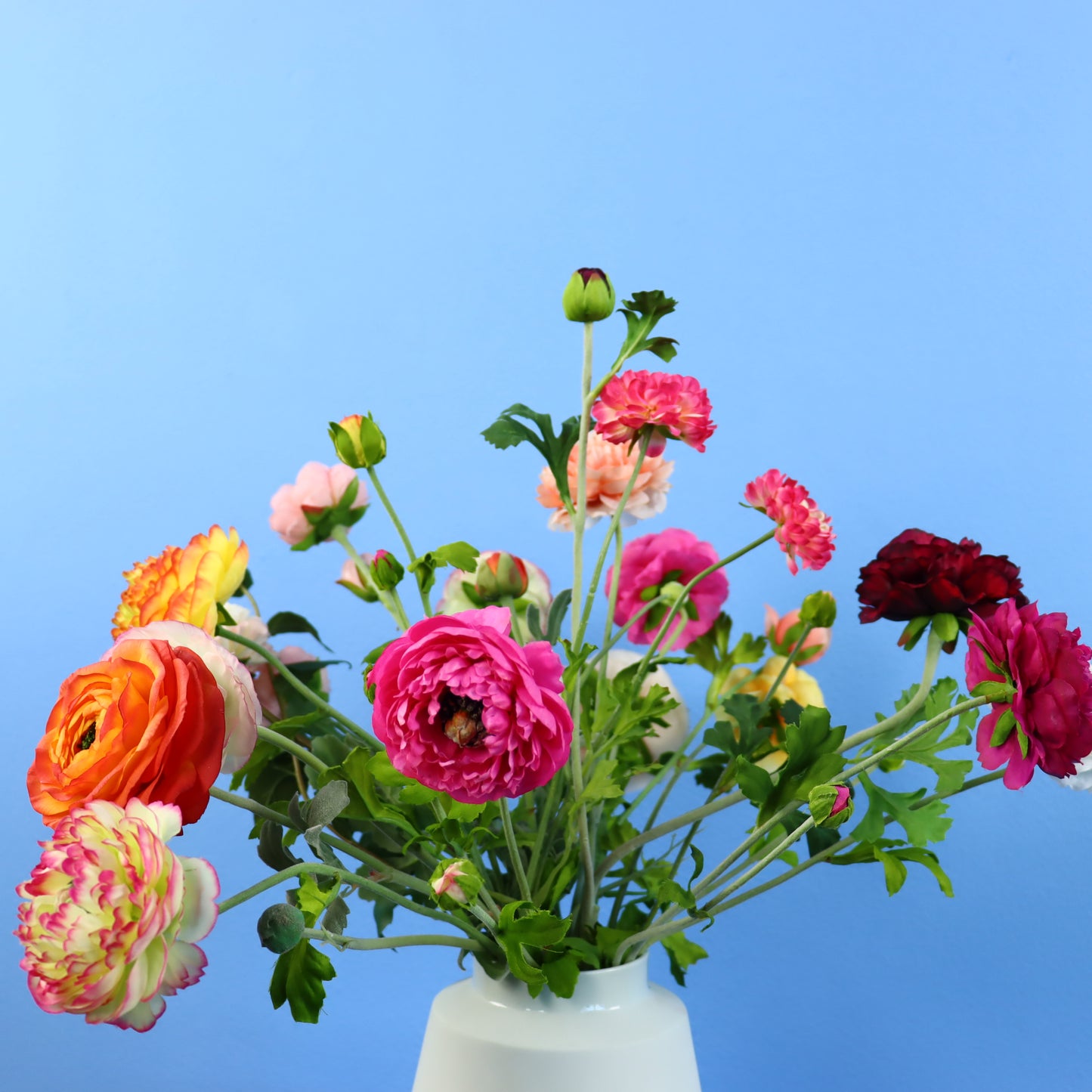 L - Bianca - Studio Harm & Elke vaas