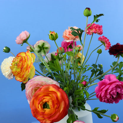 L - Bianca - Studio Harm & Elke vaas