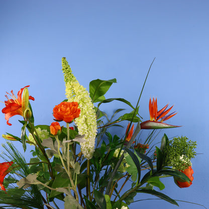 XL- Wilma - Return to Sender vaas