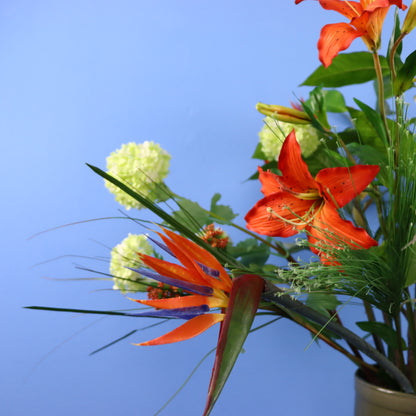 XL- Wilma - Return to Sender vaas