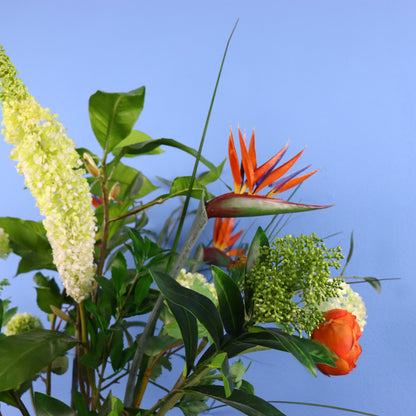 XL- Wilma - Return to Sender vaas