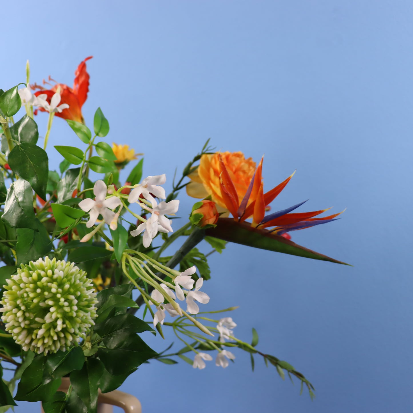 L - Isis- Return to Sender vaas