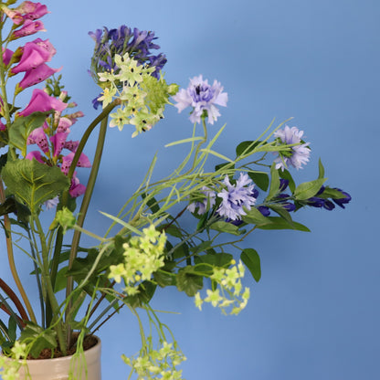 XL - Suze  - Return to Sender vaas