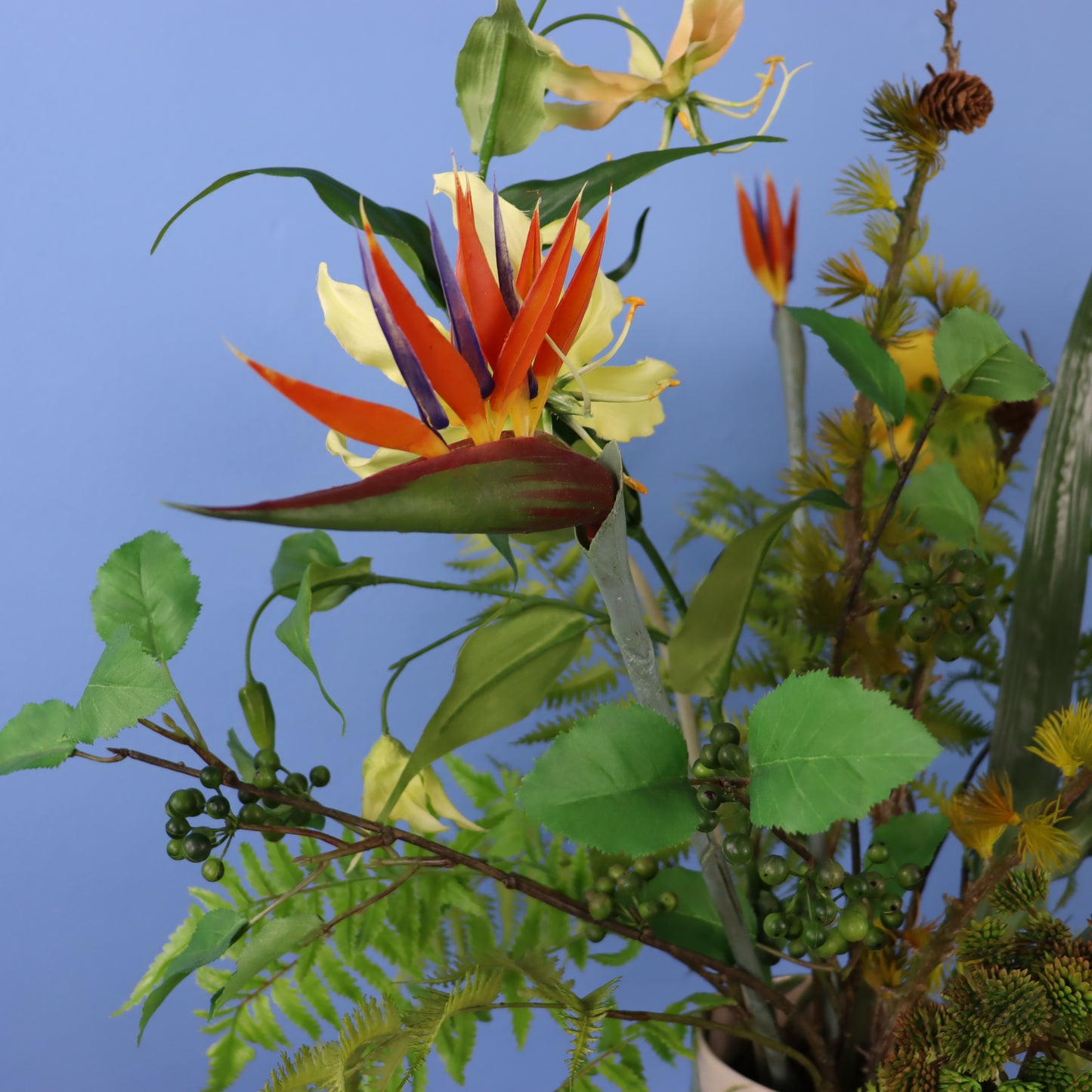 XL - Rani - Return to Sender vaas