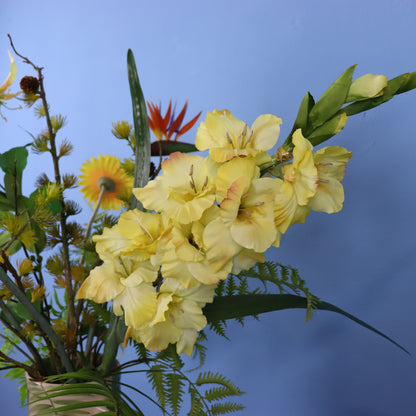 XL - Rani - Return to Sender vaas