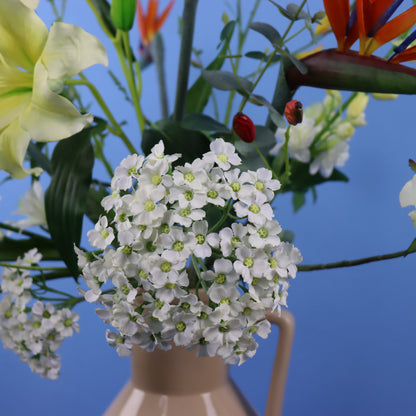 L - Lorraine- Return to Sender vaas