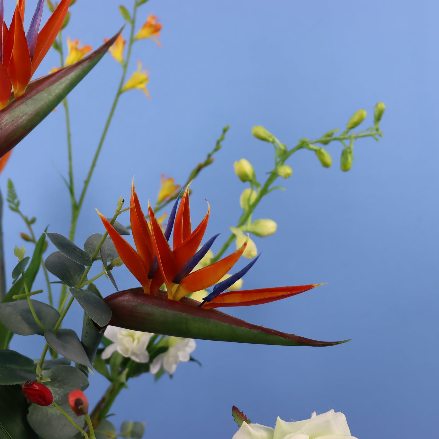 L - Lorraine- Return to Sender vaas