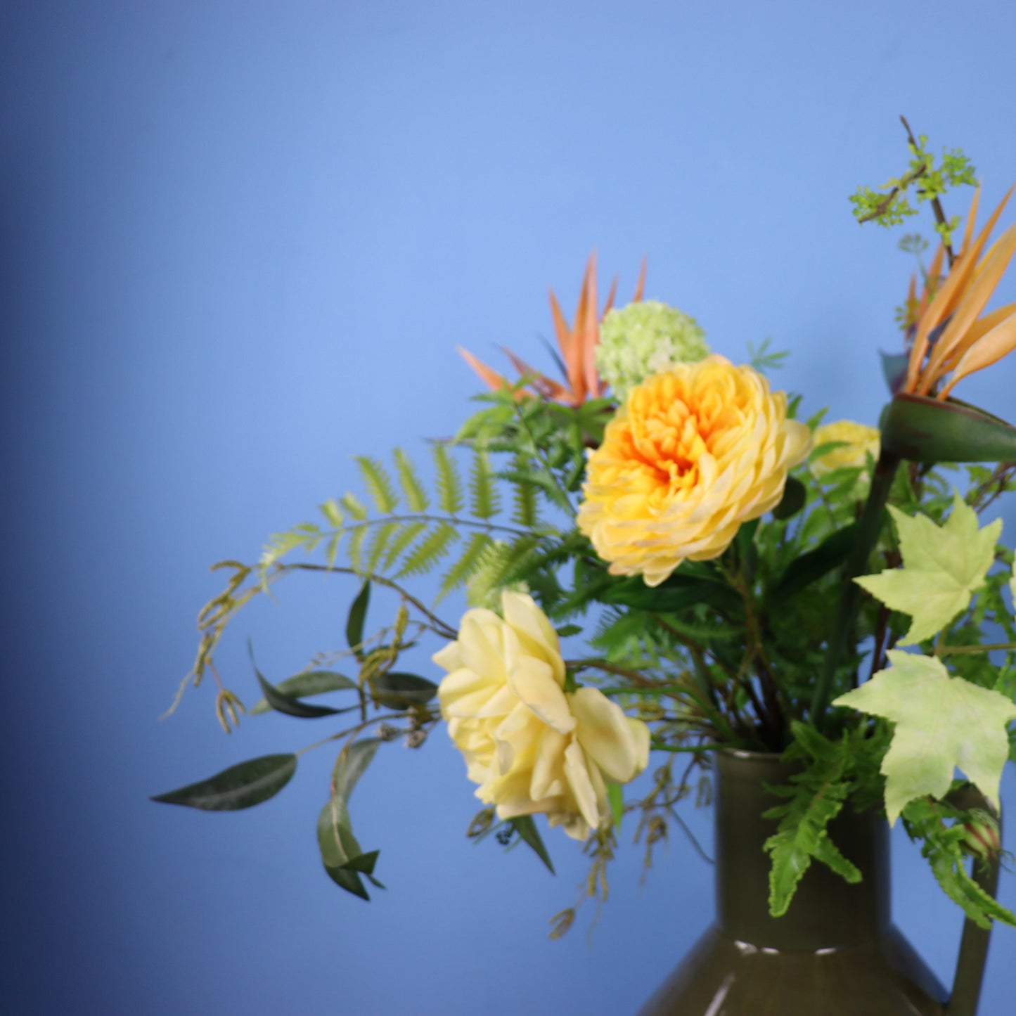 XL - Aylan - Return to Sender vaas