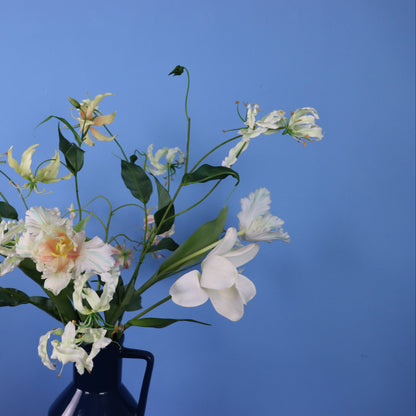 L - Celina - Return to Sender vaas